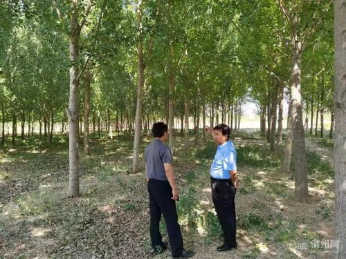 陽(yáng)信15135畝林木成功通過(guò)FSC FM認(rèn)證 邁向可持續(xù)林業(yè)管理新階段